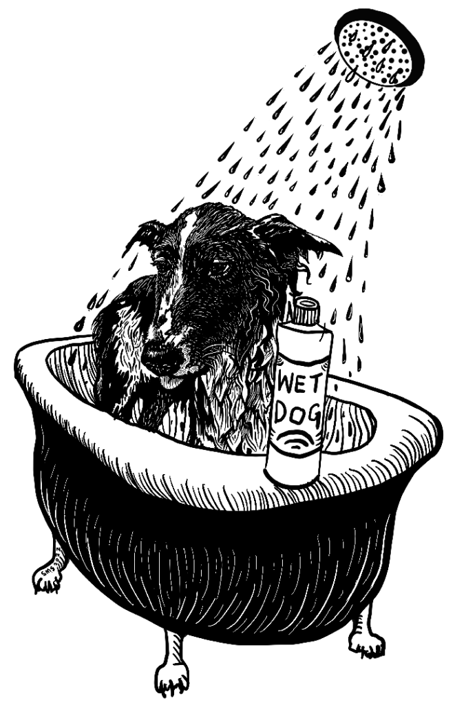 wet_dog_in_the_shower